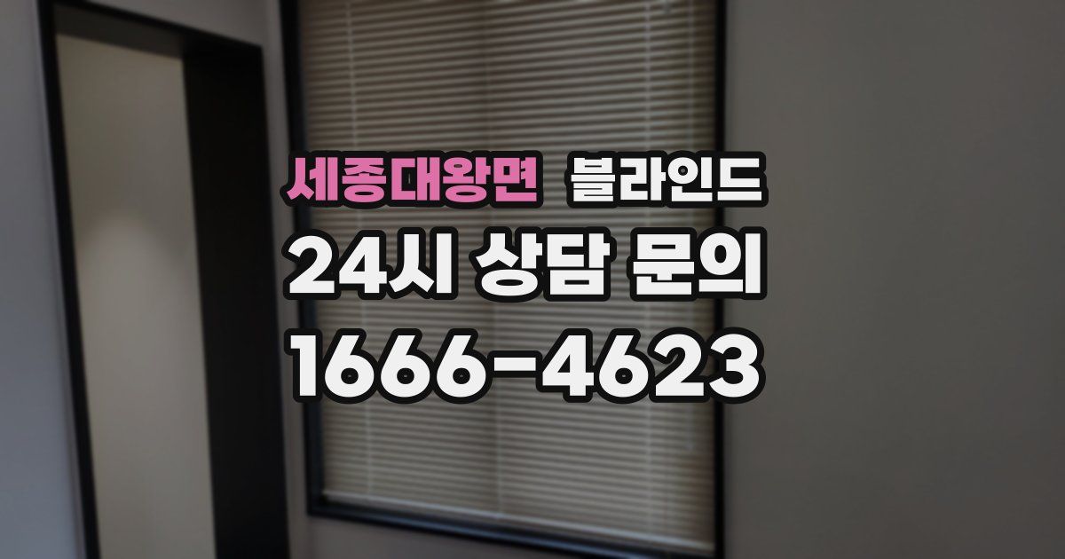 세종대왕면 블라인드