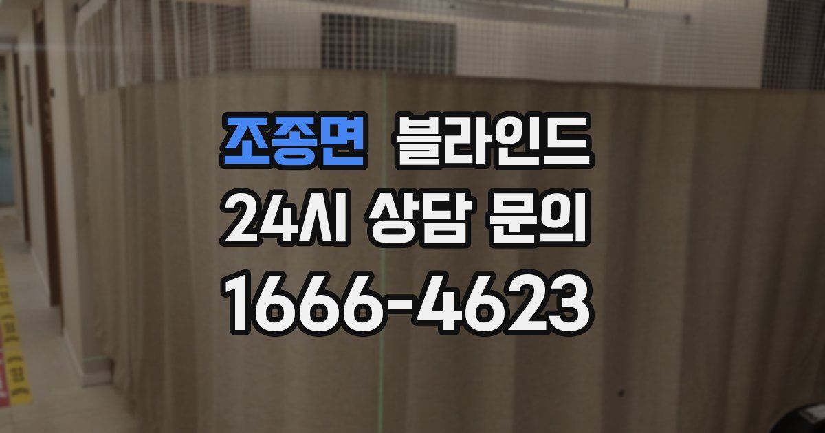 조종면 블라인드