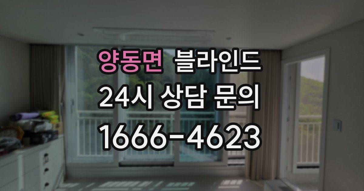 양동면 블라인드