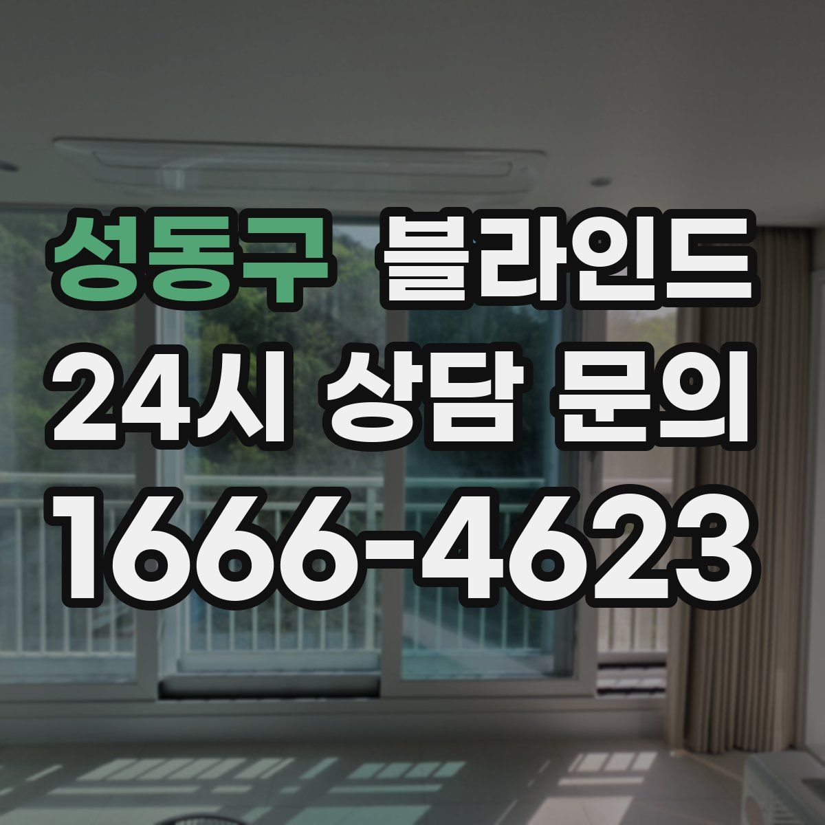 성동구 블라인드