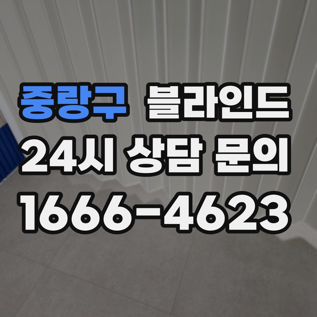 중랑구 블라인드