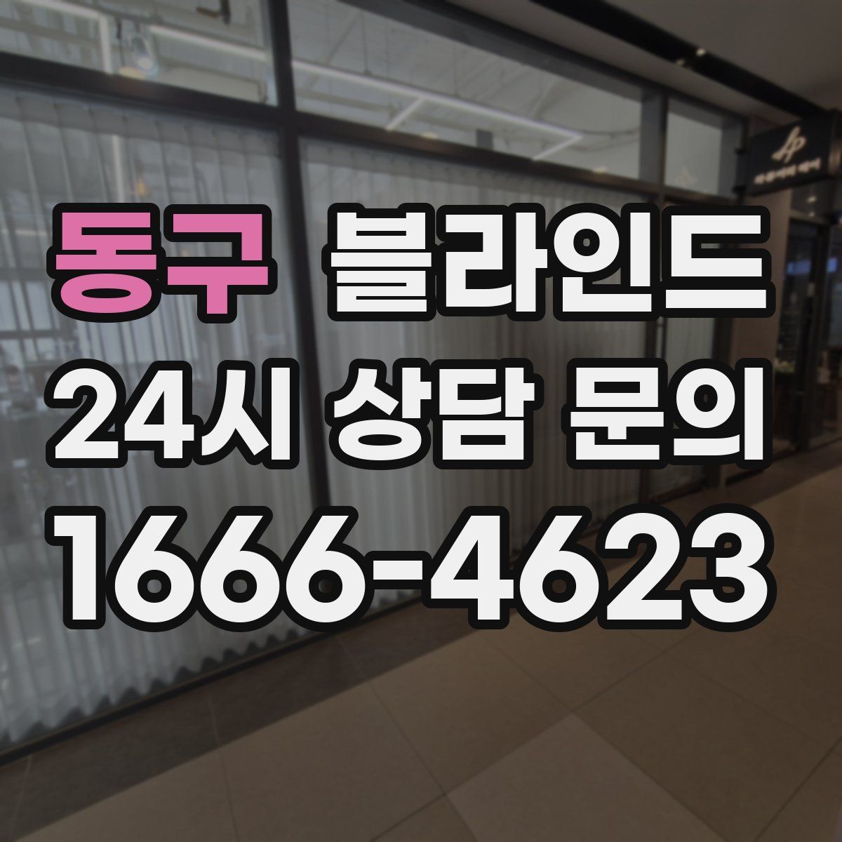 동구 블라인드
