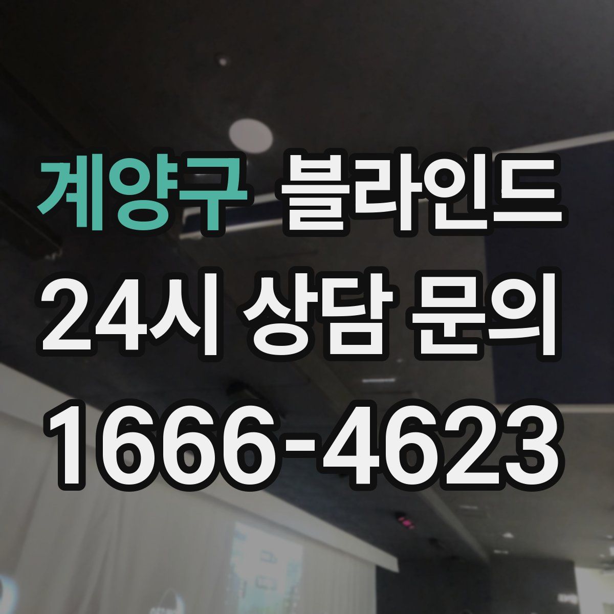 계양구 블라인드