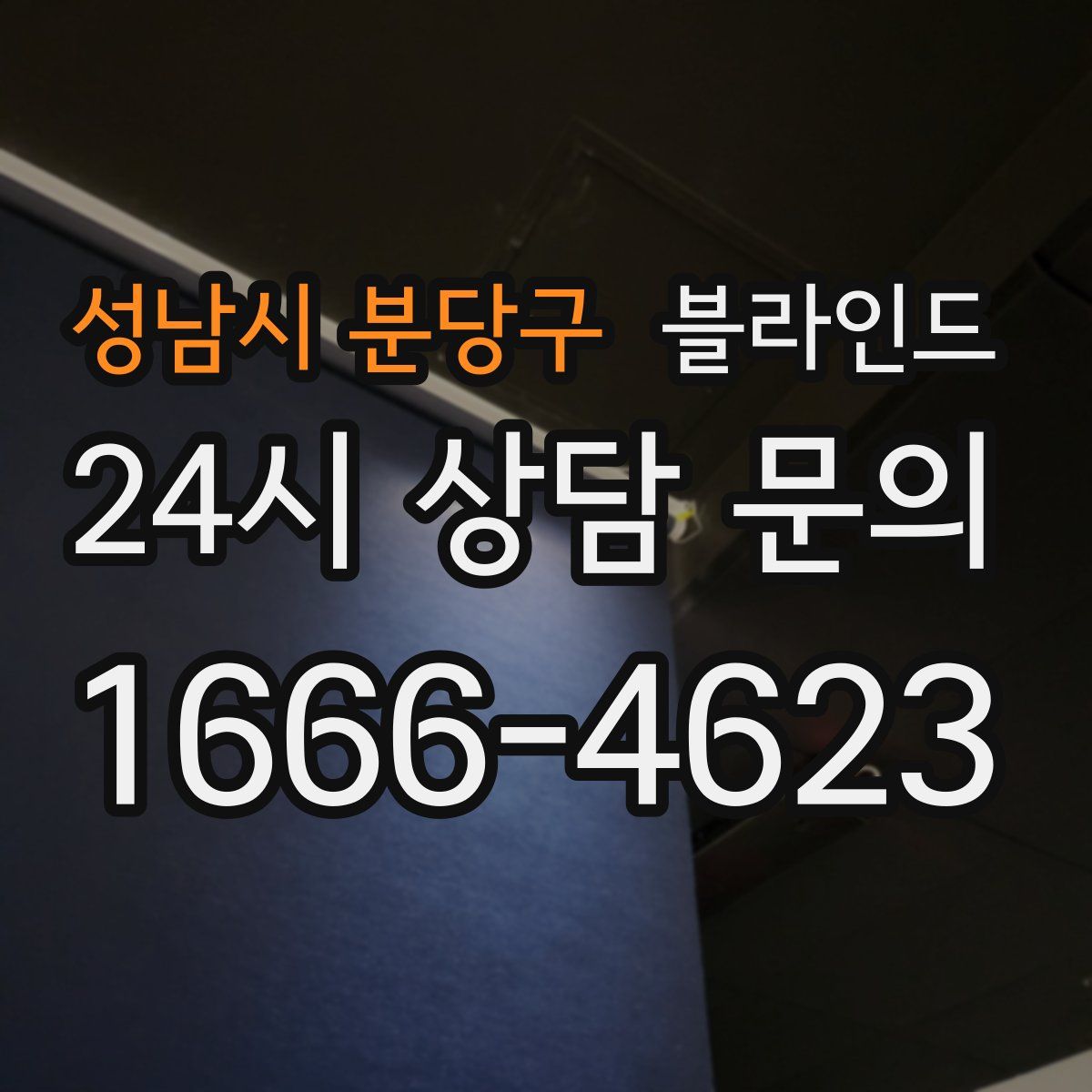 성남시 분당구 블라인드