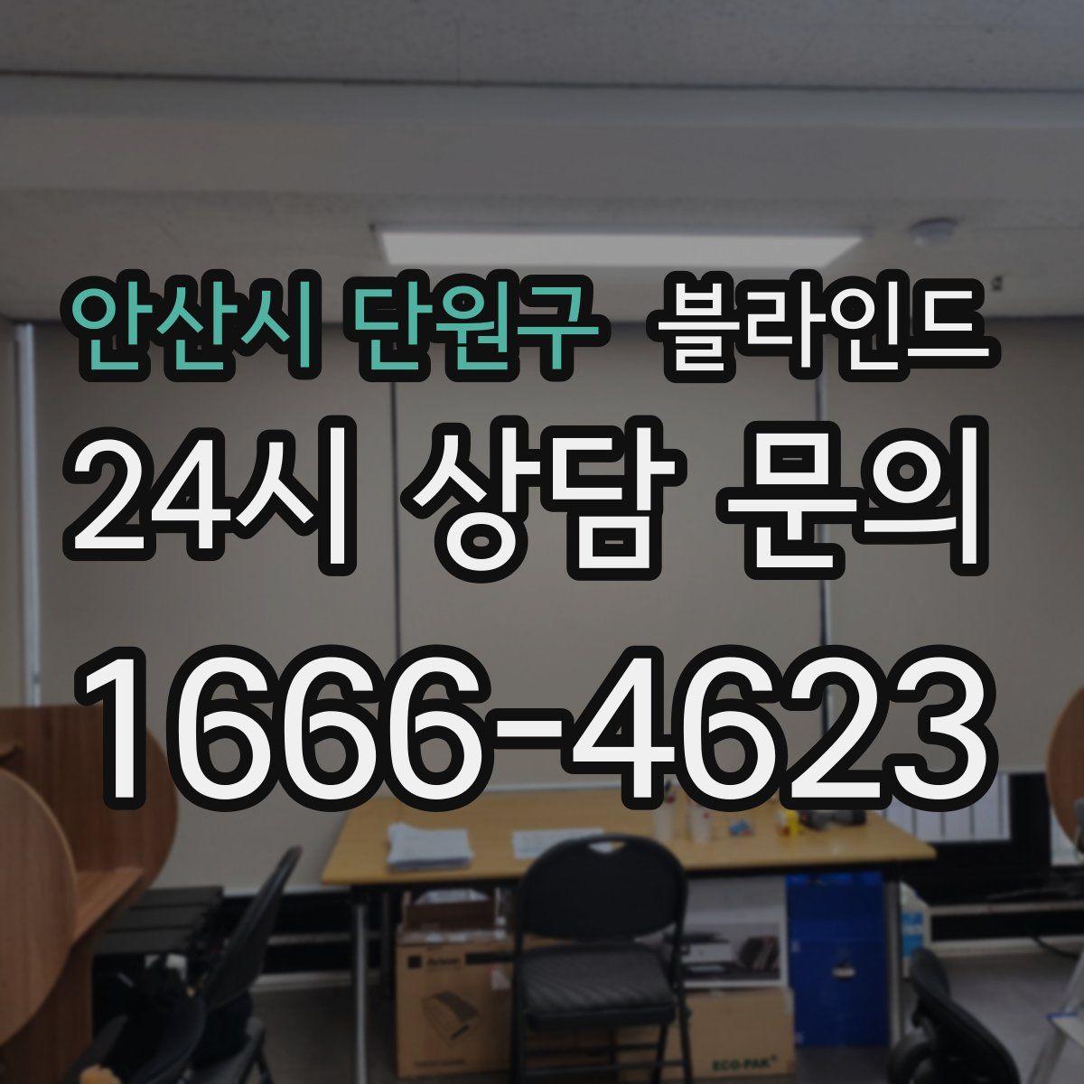 안산시 단원구 블라인드