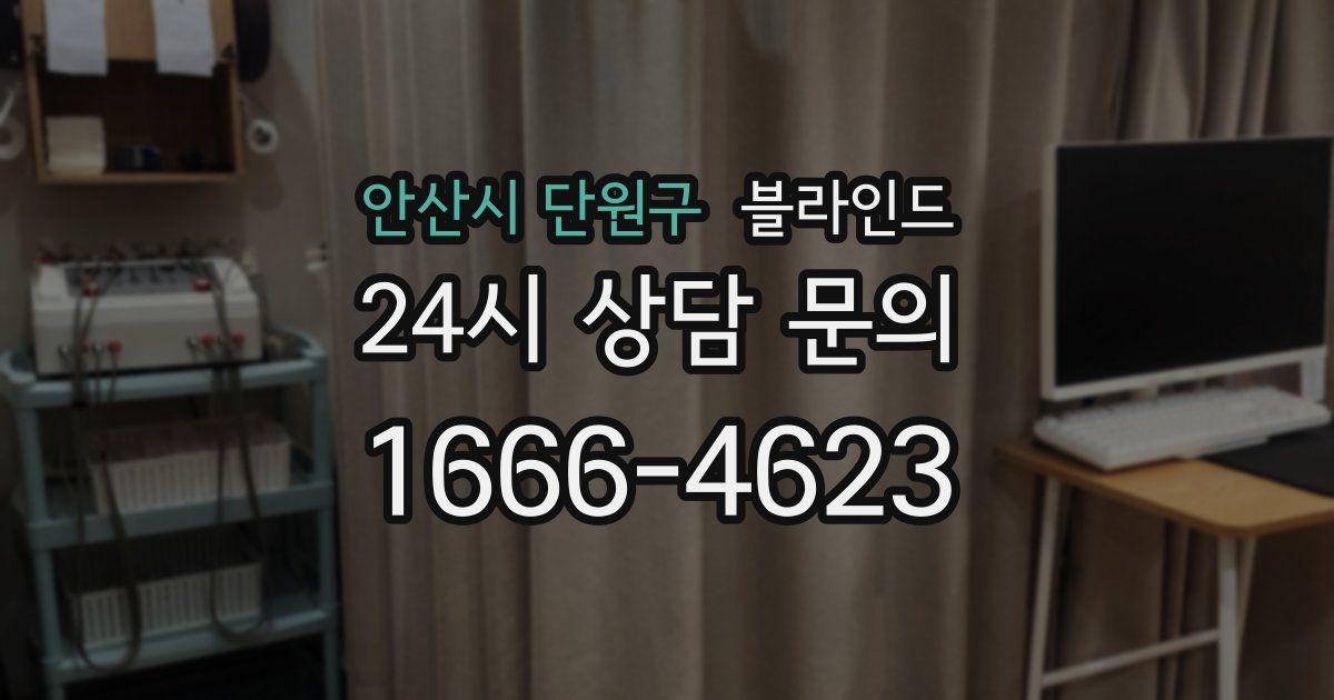 안산시 단원구 블라인드