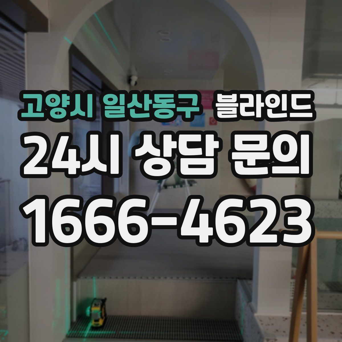 고양시 일산동구 블라인드