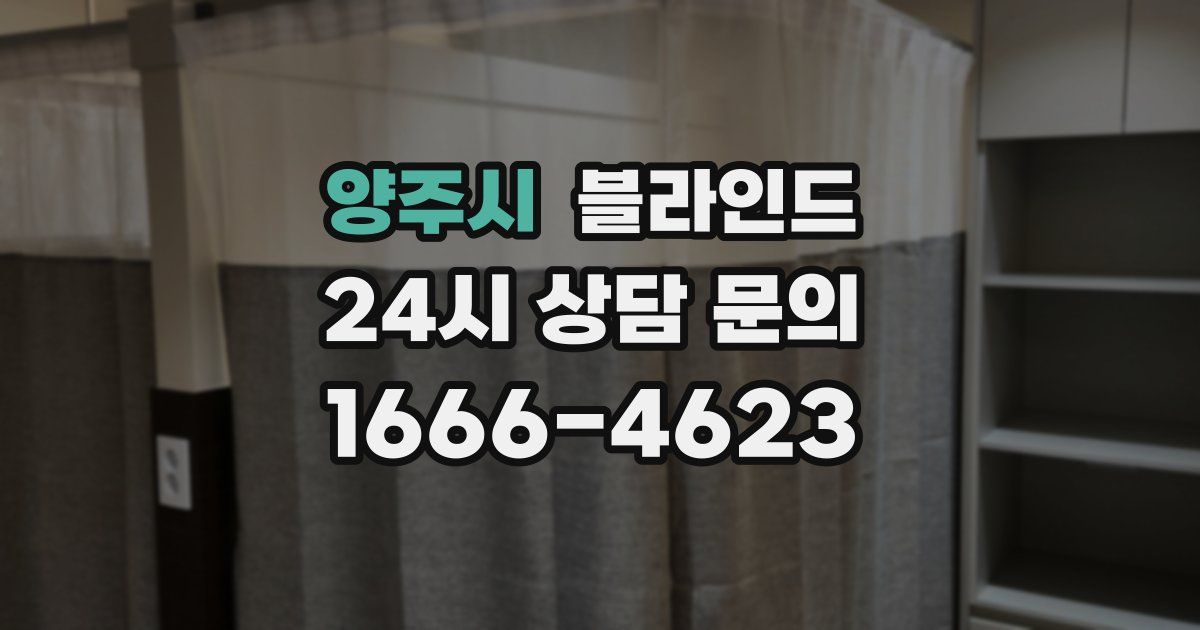 양주시 블라인드