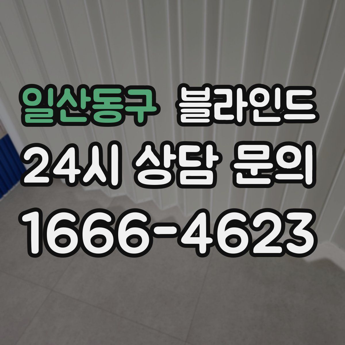 일산동구 블라인드