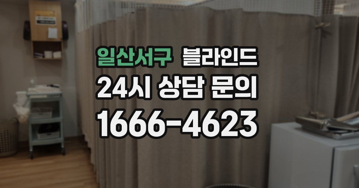 일산서구 블라인드