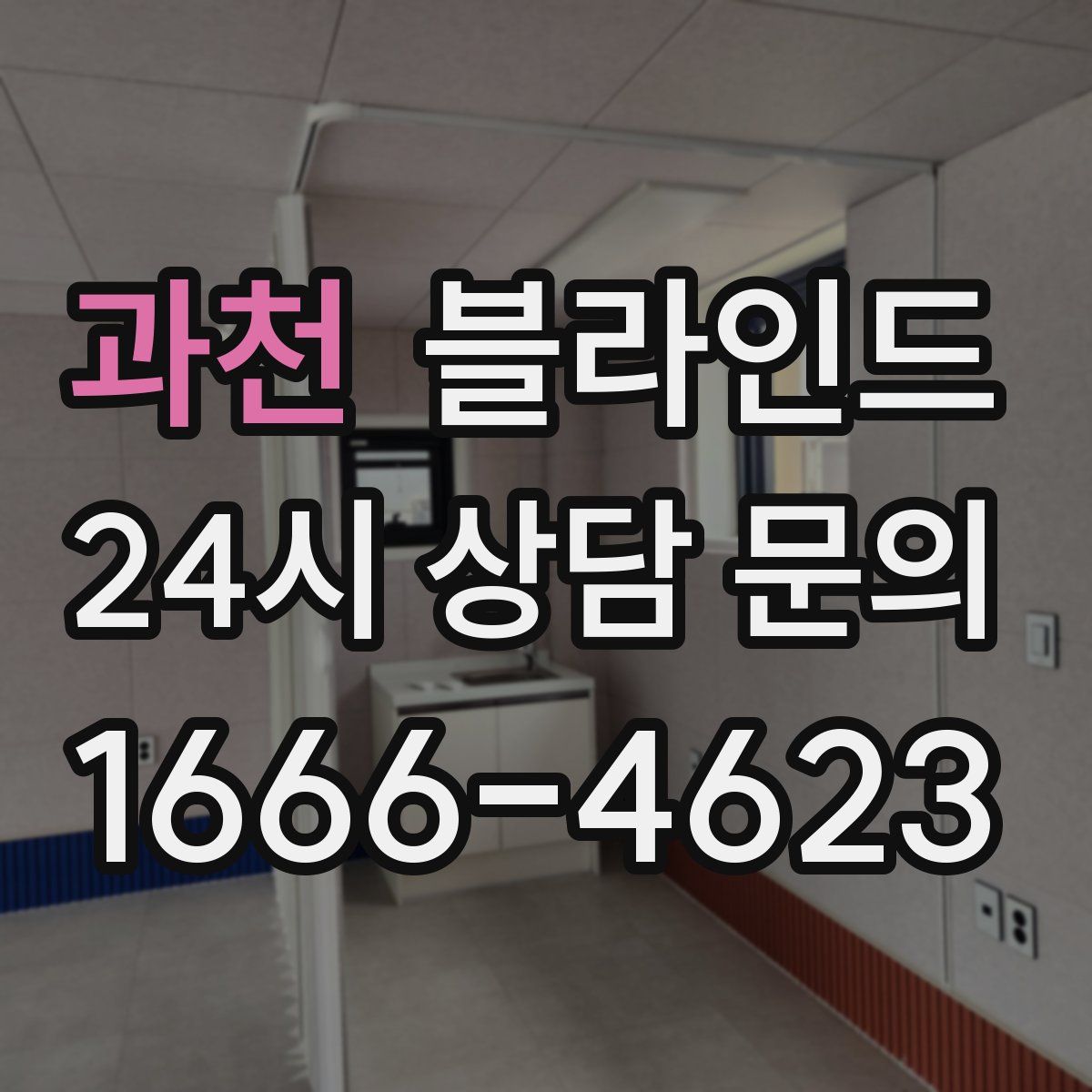 과천 블라인드