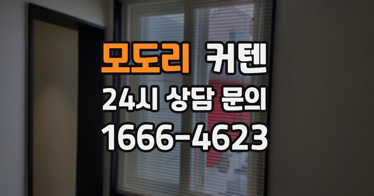모도리 커텐