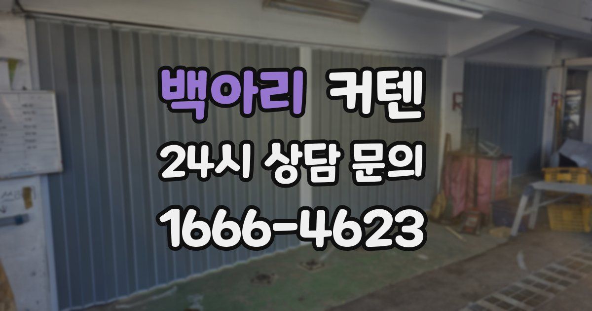 백아리 커텐
