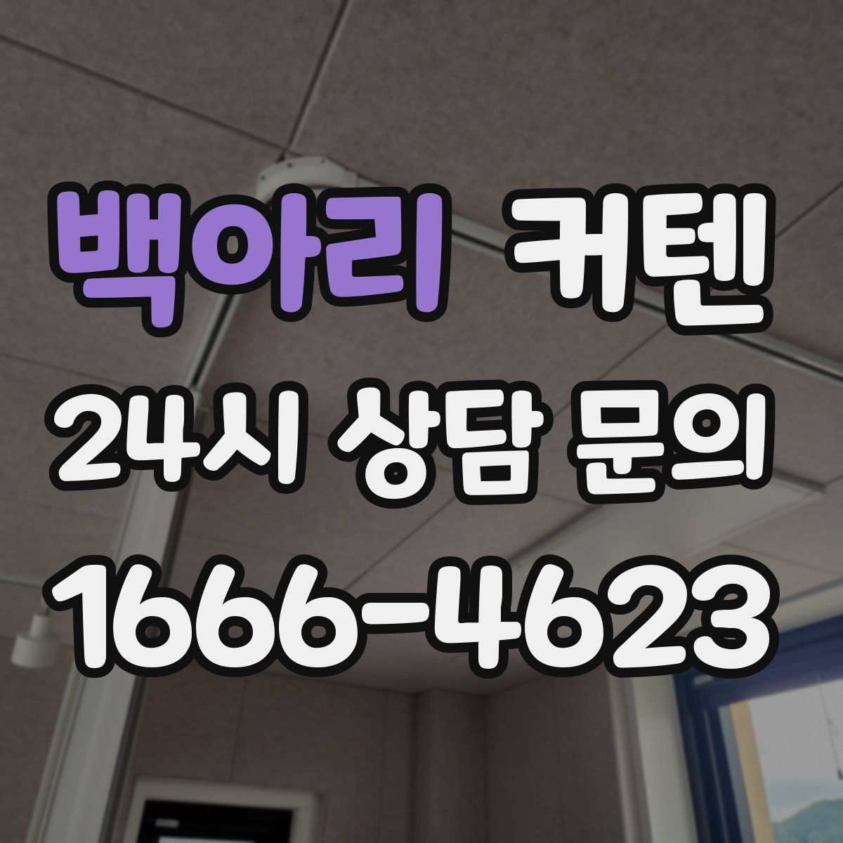 백아리 커텐