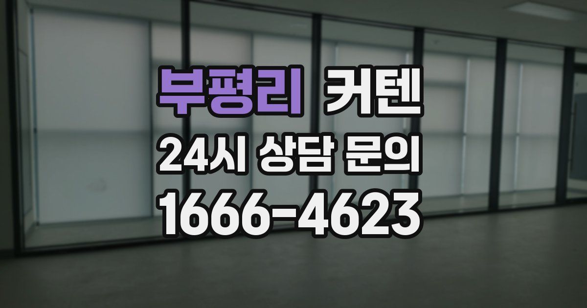 부평리 커텐