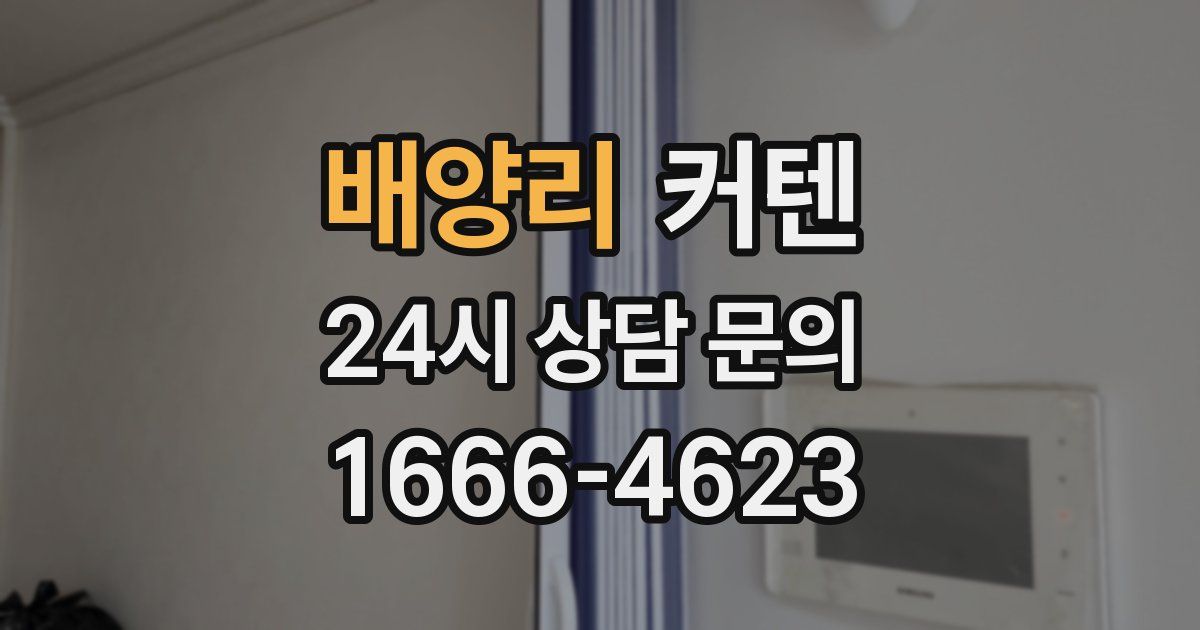 배양리 커텐