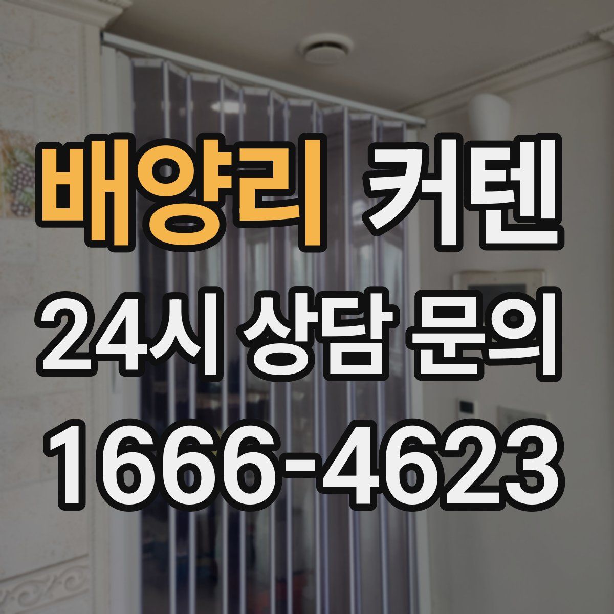 배양리 커텐