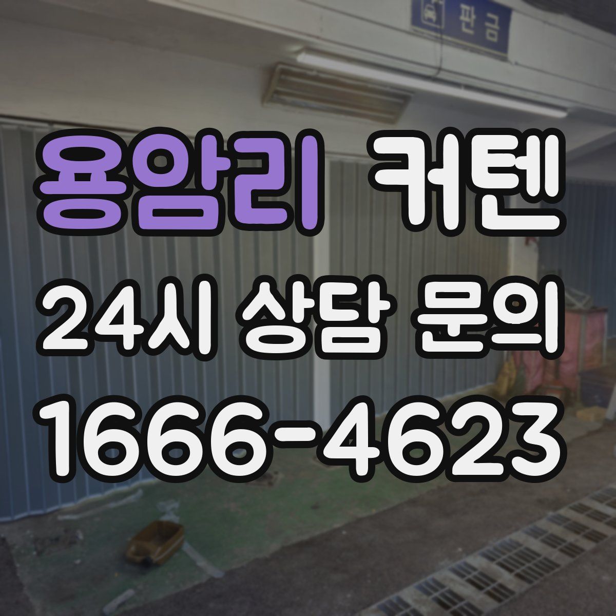 용암리 커텐