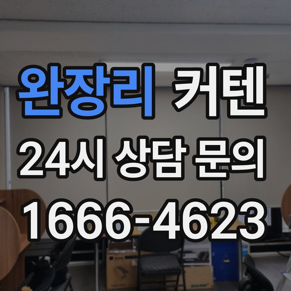 완장리 커텐
