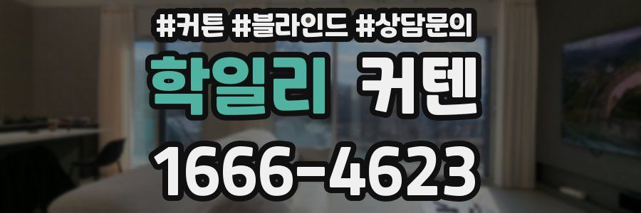 학일리 커텐