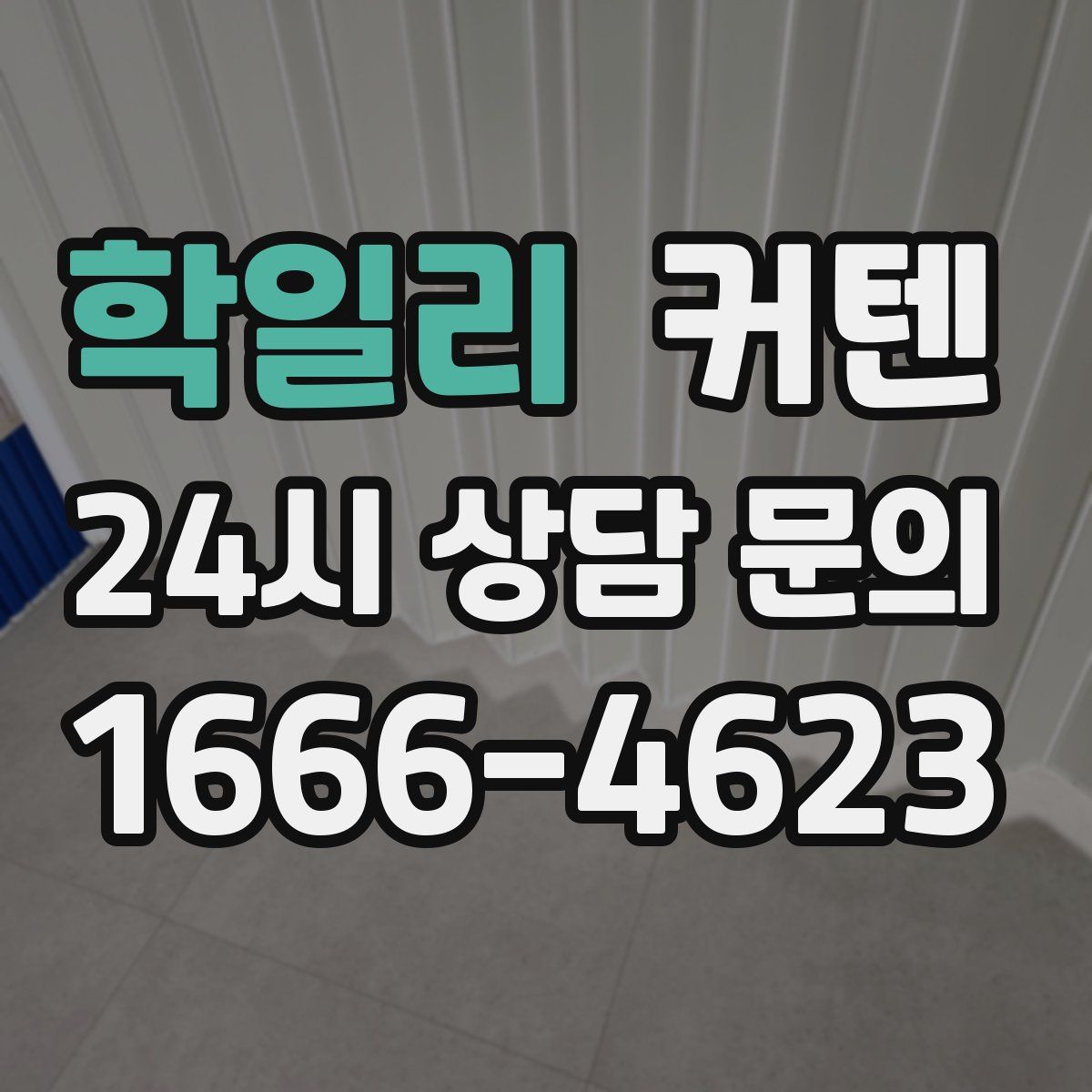 학일리 커텐