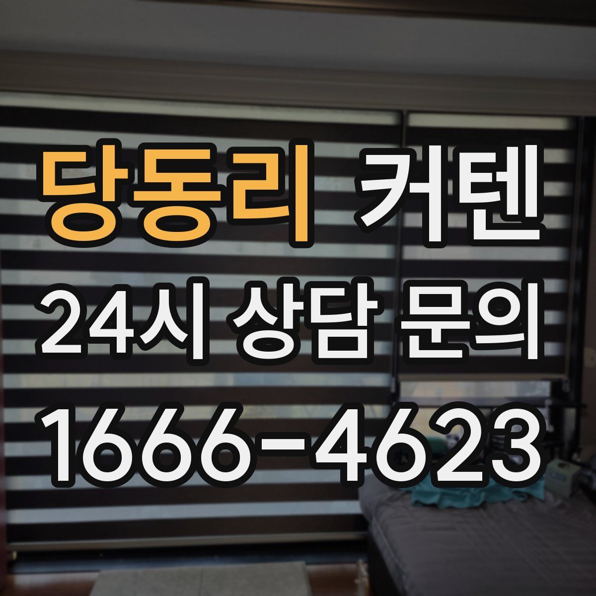 당동리 커텐