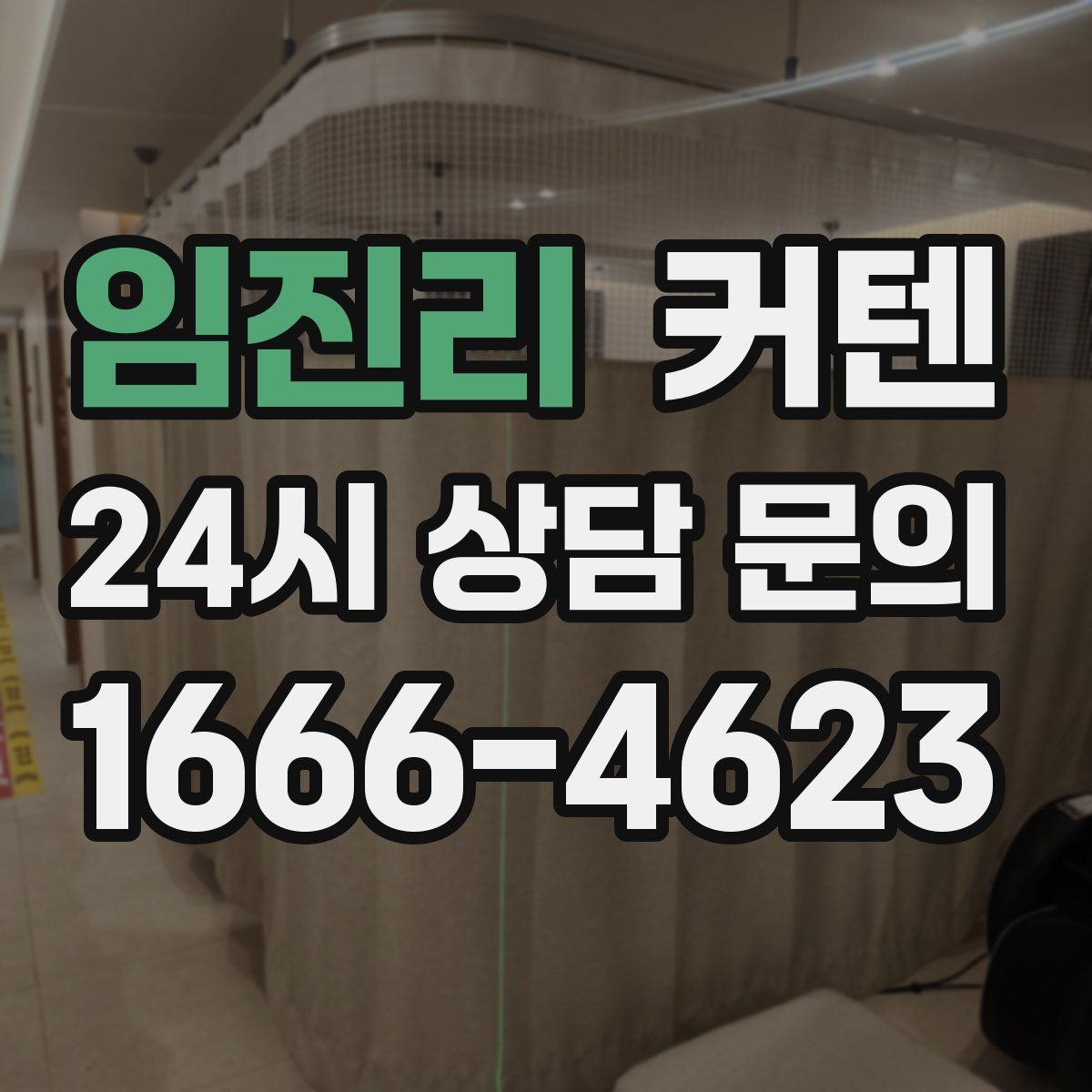 임진리 커텐