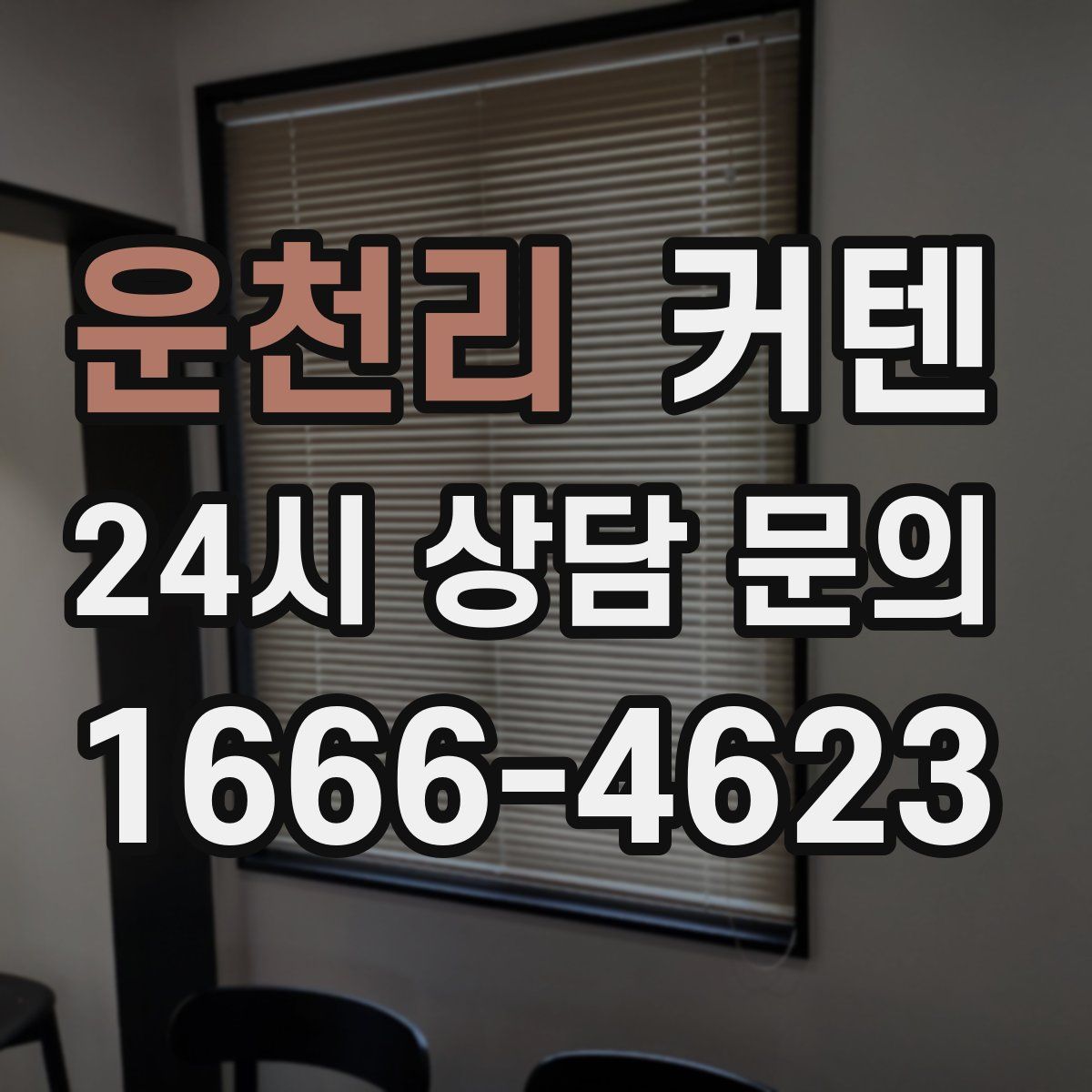 운천리 커텐