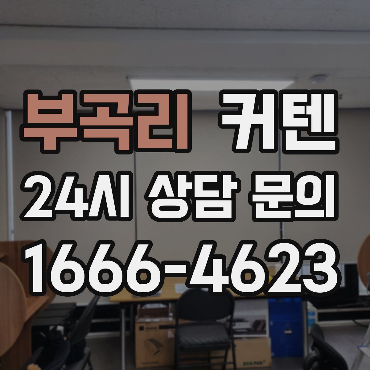 부곡리 커텐
