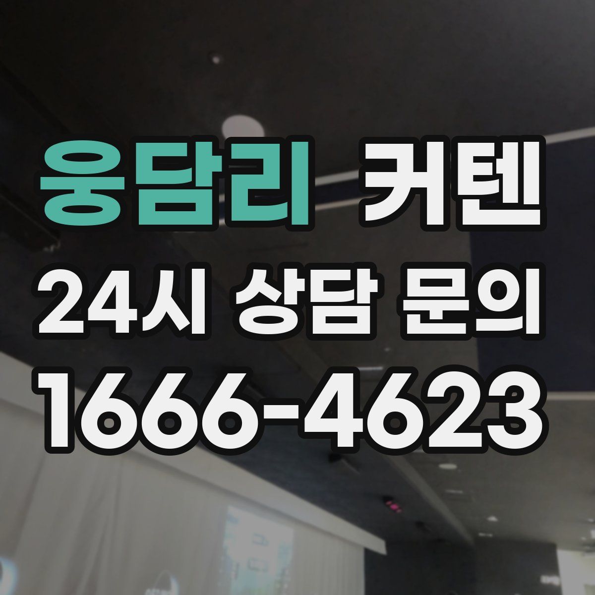 웅담리 커텐