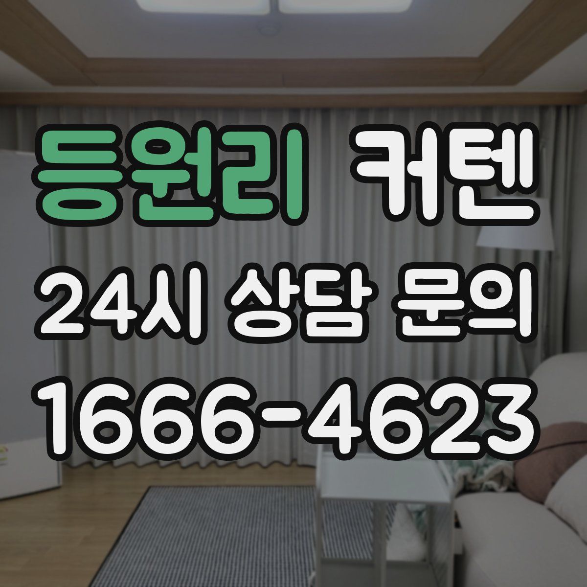 등원리 커텐