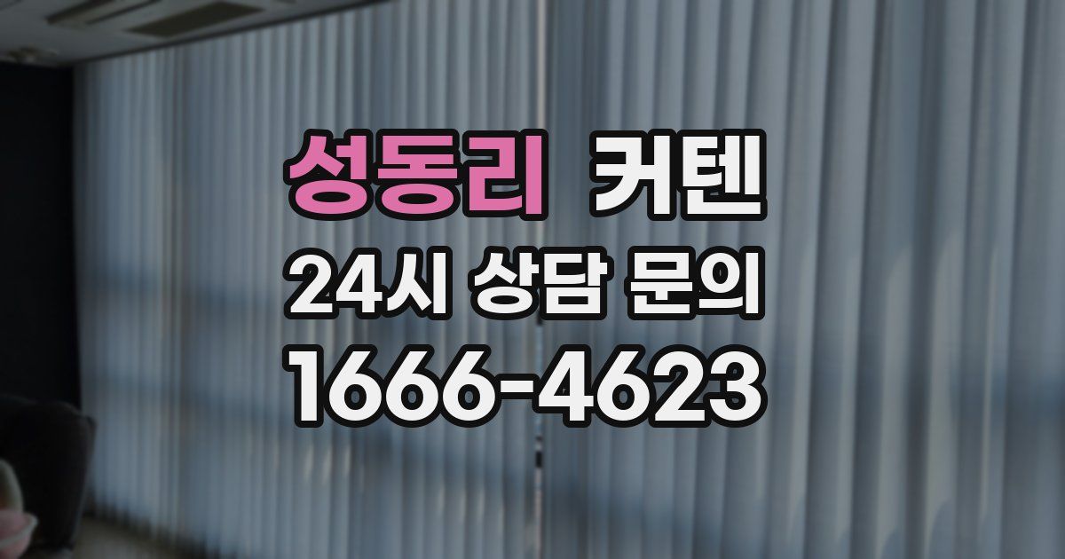 성동리 커텐