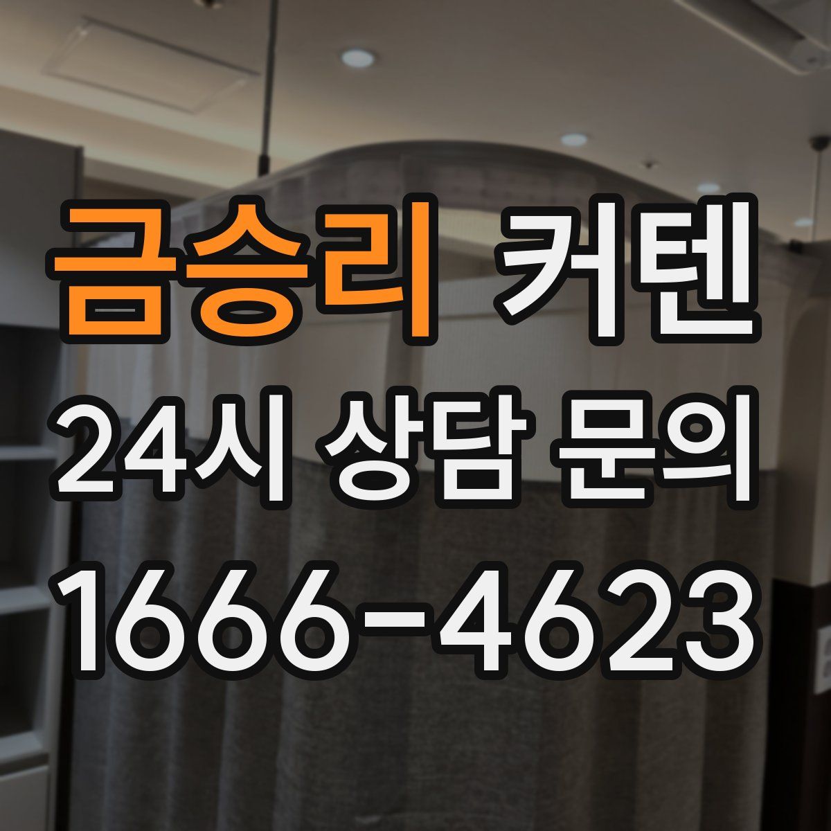 금승리 커텐