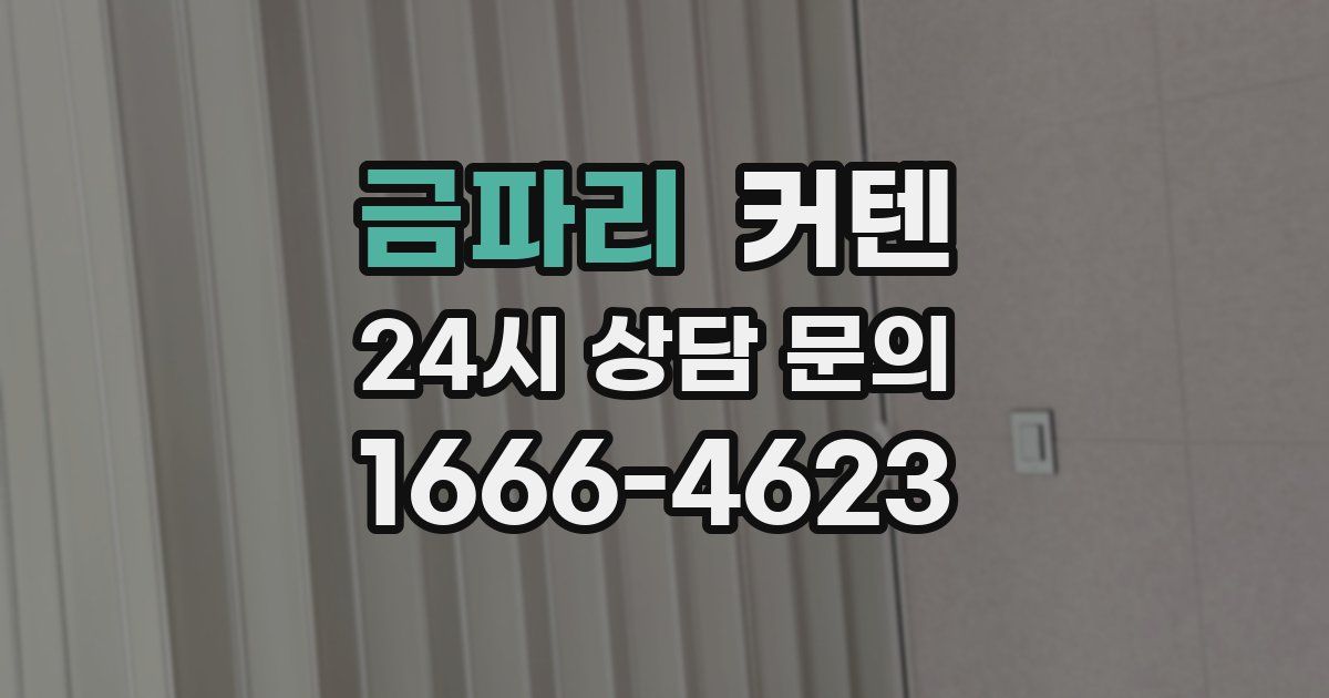 금파리 커텐