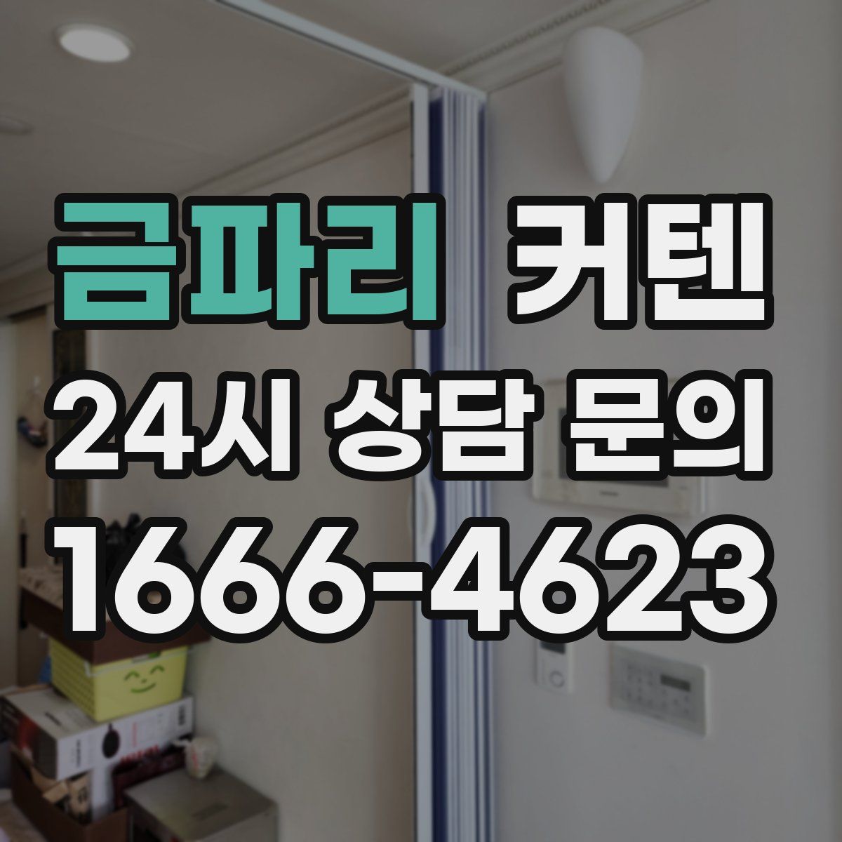 금파리 커텐