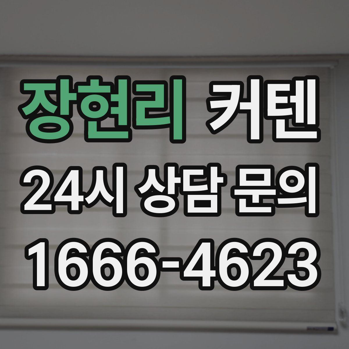 장현리 커텐