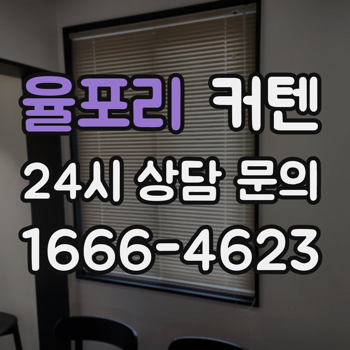 율포리 커텐