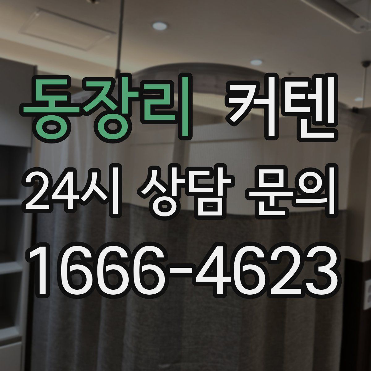 동장리 커텐