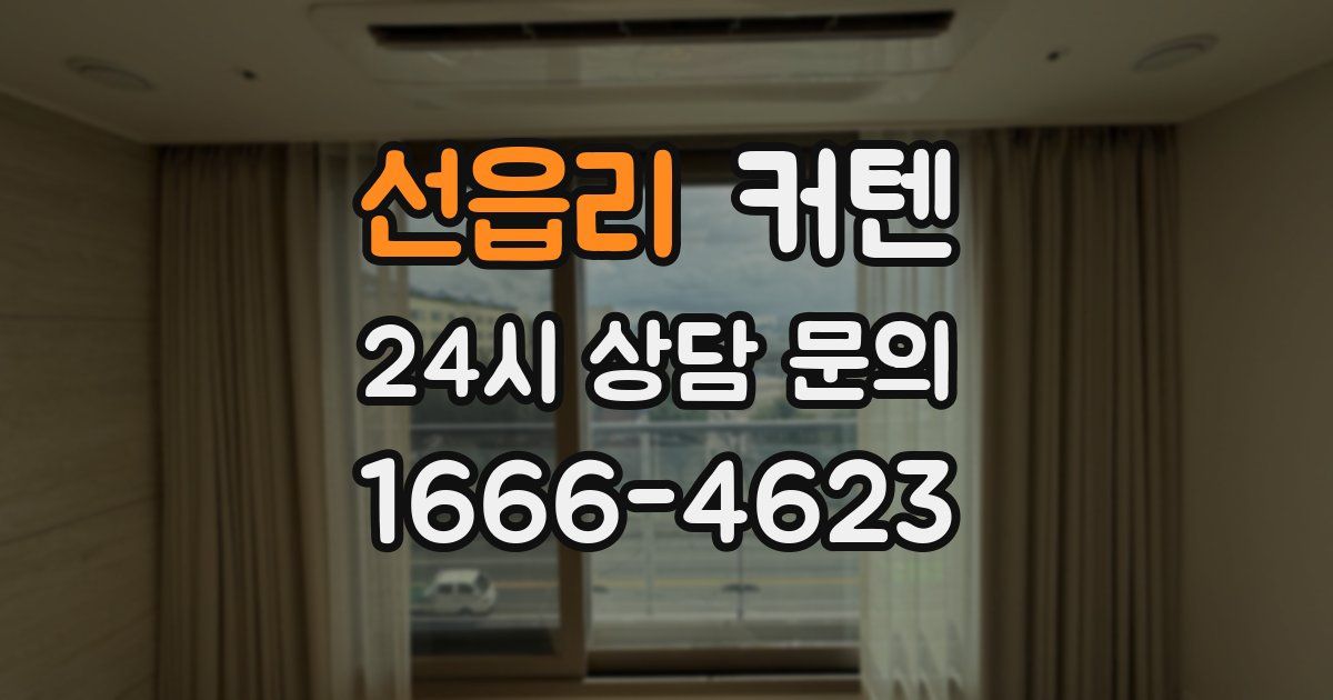 선읍리 커텐
