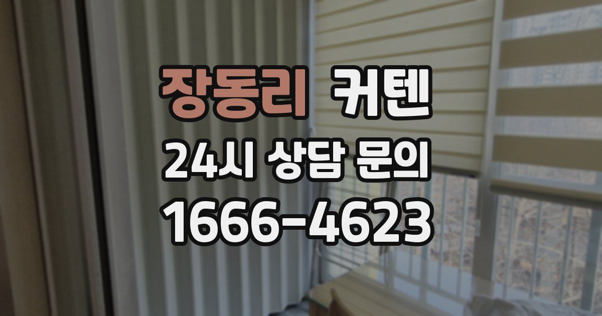 장동리 커텐