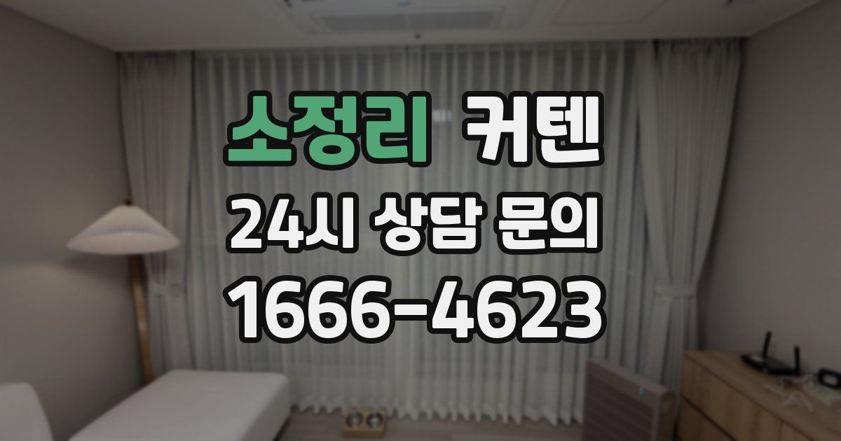 소정리 커텐