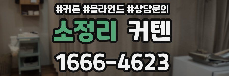 소정리 커텐
