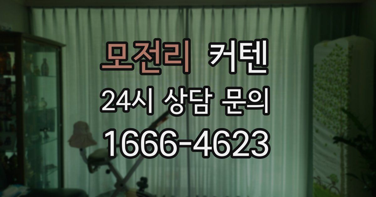모전리 커텐