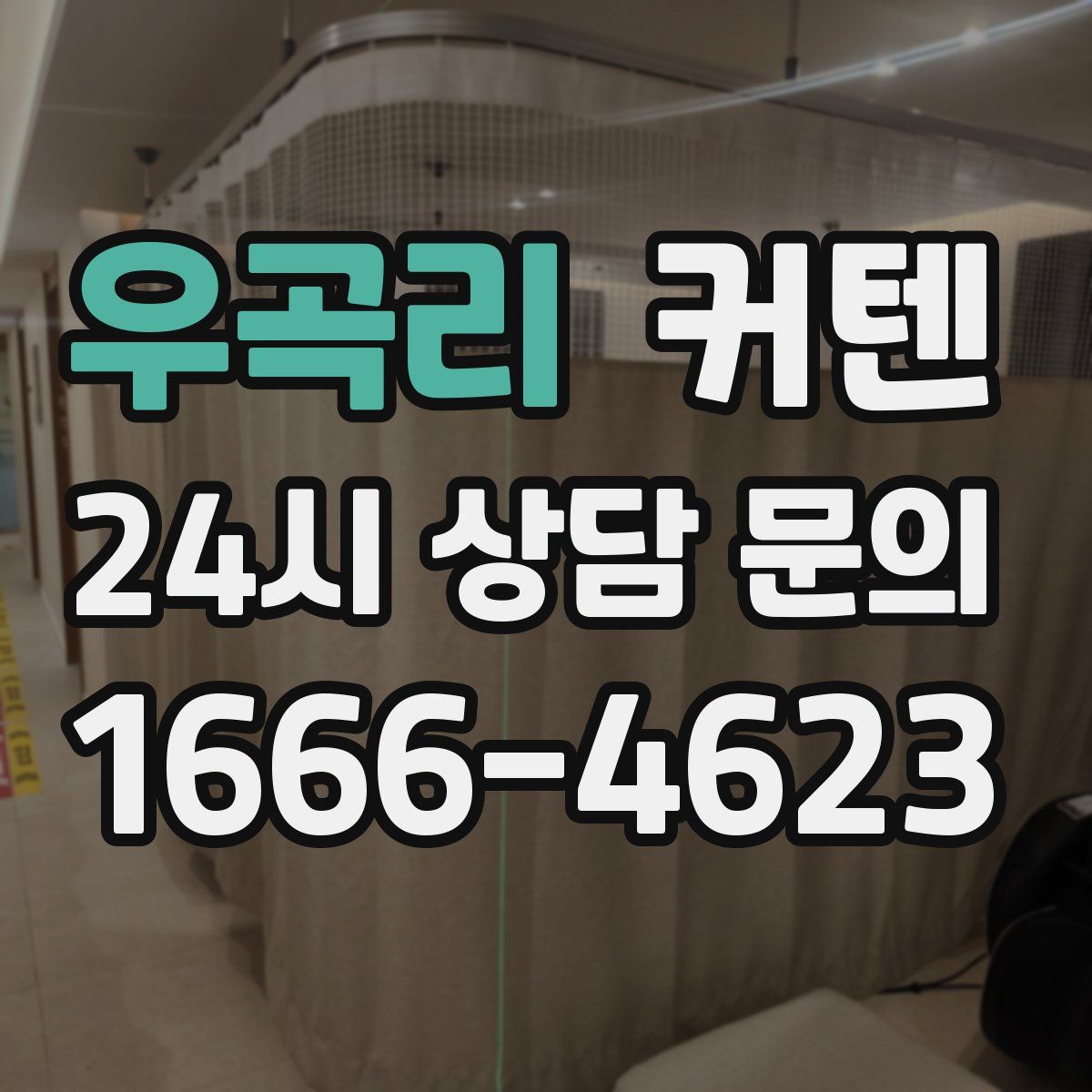 우곡리 커텐