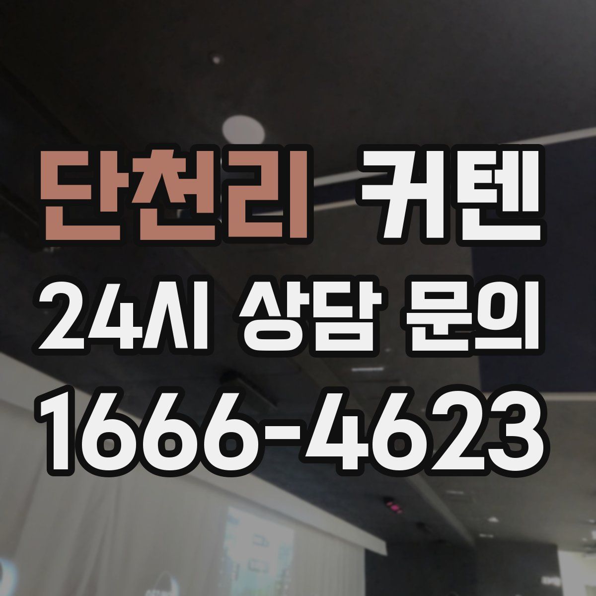 단천리 커텐