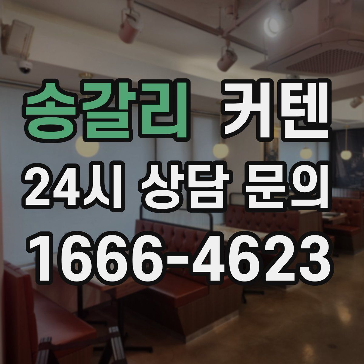 송갈리 커텐