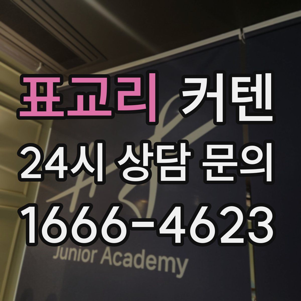 표교리 커텐