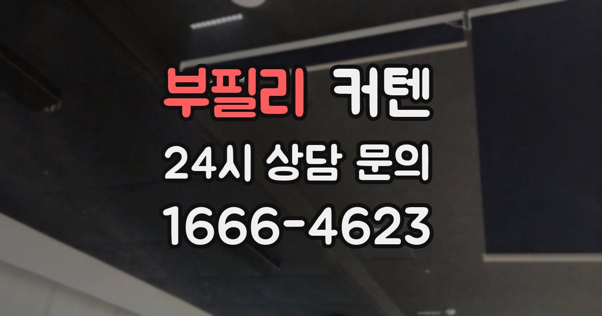 부필리 커텐