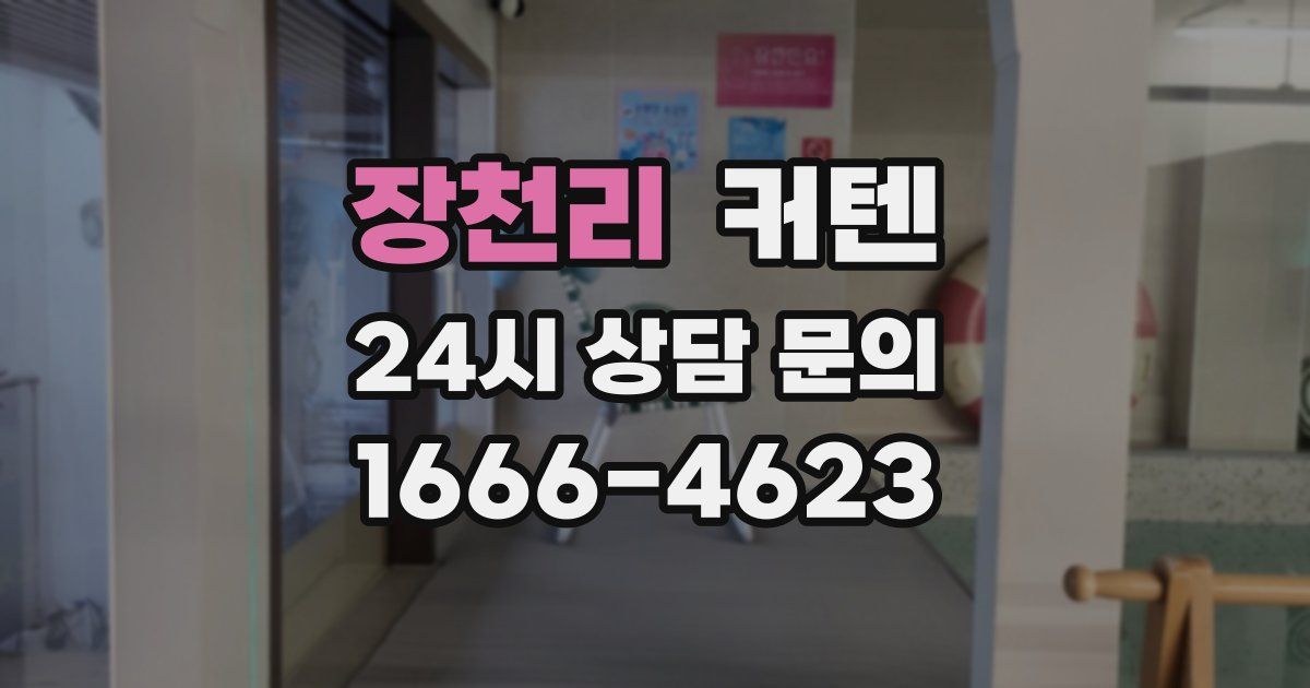 장천리 커텐