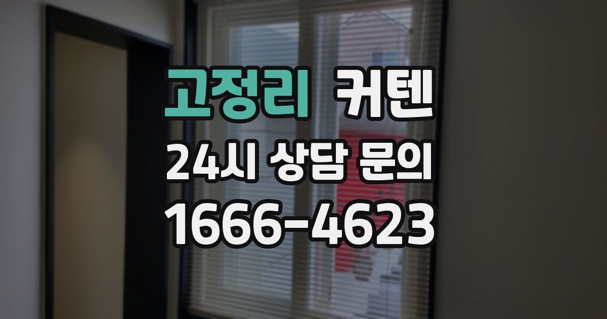 고정리 커텐